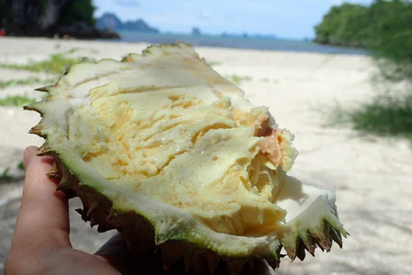 Durian sahilde kesmek