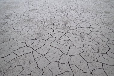 Kuru kırık dünya, gölün dibinde