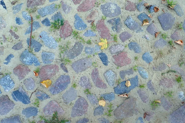 Herbstlaub Auf Steinpflaster — Stockfoto