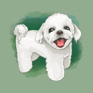 Şirin mutlu beyaz köpek çizim