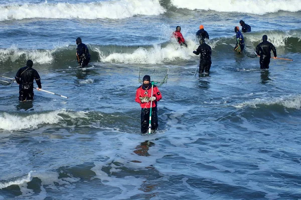 Kaliningrad Russie 2018 Prendre Ambre Dans Mer Baltique Après Une Images De Stock Libres De Droits