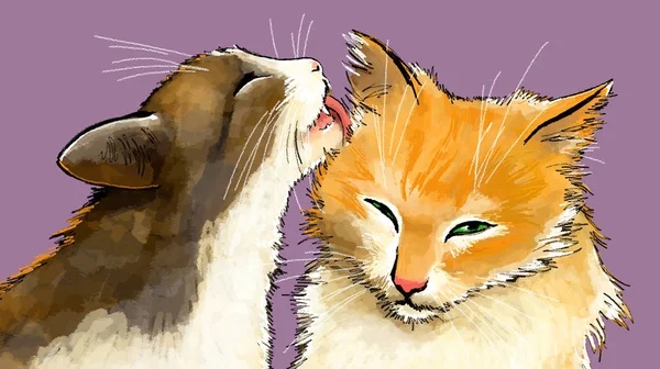 Mor bir arka plan üzerinde bir kedi kedi yalıyor
