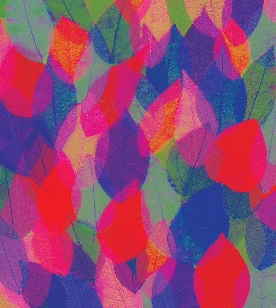 Mooie Ongebruikelijke Achtergrond Van Gekleurde Bladeren — Stockfoto