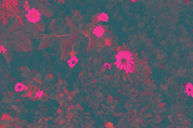 soyut parlak renkler arka plan. fotoğraf sanatı. çeşitli tasarımlar ve hurda rezervasyon için uygun 