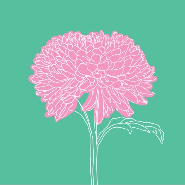 Çiçek açan güzel çiçek. En az stil. vektör illüstrasyonu. 