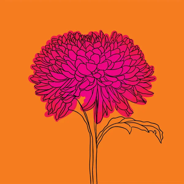 Vacker Blommande Blomma Minimal Stil Vektor Illustration — Stock vektor