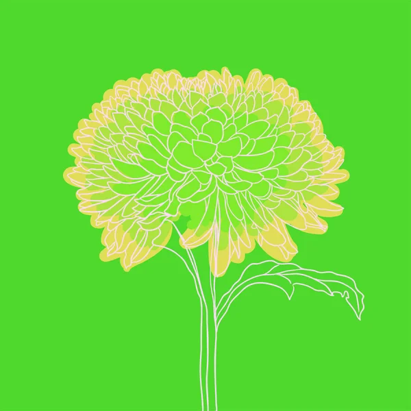 Krásná Kvetoucí Květina Minimální Styl Vektorová Ilustrace Rgb Barva — Stockový vektor