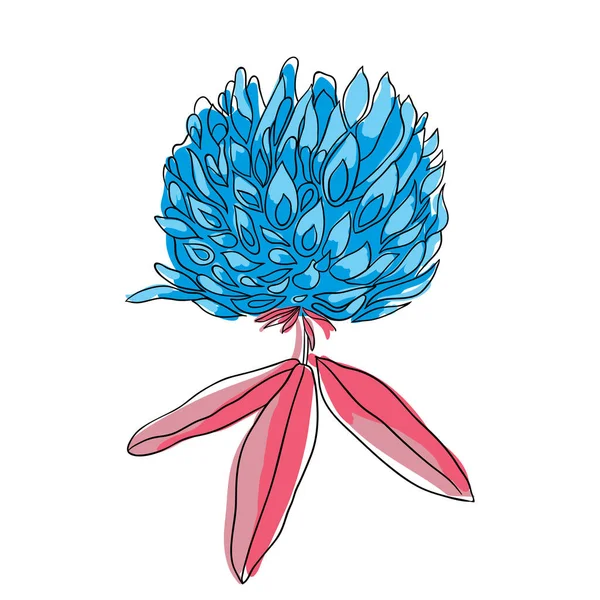 Hermoso Trébol Flores Flor Estilo Mínimo Ilustración Vectorial — Vector de stock