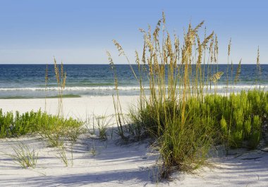 Olgun mevsimlik deniz yulaf esintiyle üfleme ile Pensacola, Florida köpüklü Meksika Körfezi Waters bir beyaz kum plajı güzel güneşli gün