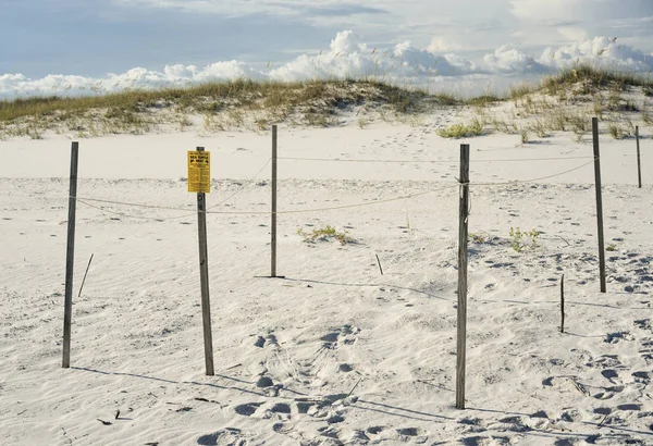 Strand Tengeri Teknős Jel Figyelmeztető Beachgoers Távol Tartani Fészket Zavarjon — Stock Fotó