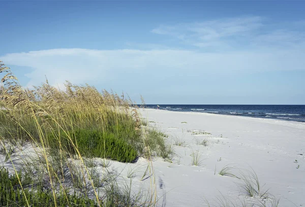 海の麦と自然のままの白い砂浜のビーチとネイティブ ビーチの横写真植物白ブレーカーに見下ろす輝く青い湾 — ストック写真