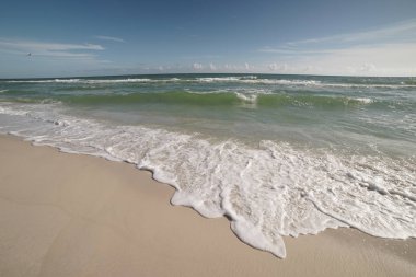 Extreme wide-angle scenic at Pensacola Beach in Florida. Seagulls, breakers, blue skies, emerald waters clipart
