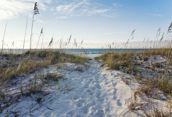 Landscape Sand Dunes Sea Oats Calm Turquoise Ocean Surf Rosy — Stock Photo, Image