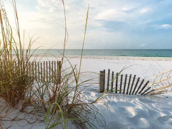 Cercas de arena y avena marina en Florida Beach al amanecer —  Fotos de Stock