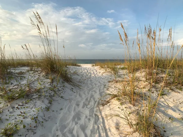 Bem Worn Caminho do pé através das dunas para a praia — Fotografia de Stock