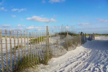Yıpranmış kırsal ahşap çitler kumsaldaki kum tepelerini erozyondan korur..
