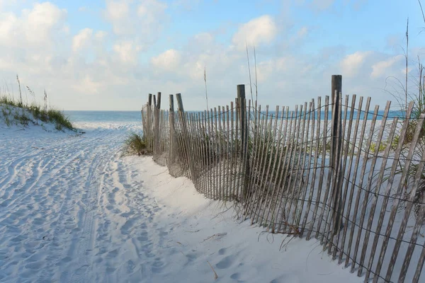 Zandweg Door Duinen Naar Het Strand Omzoomd Door Kronkelend Houten — Stockfoto