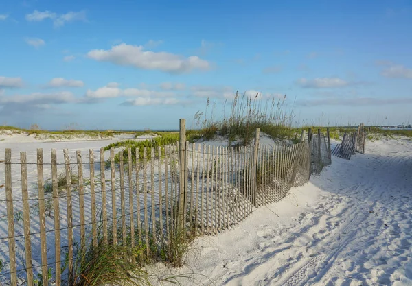 砂丘を通ってビーチまでの砂の道は 非常に早朝に木製の砂のフェンスのねじれに隣接しています — ストック写真