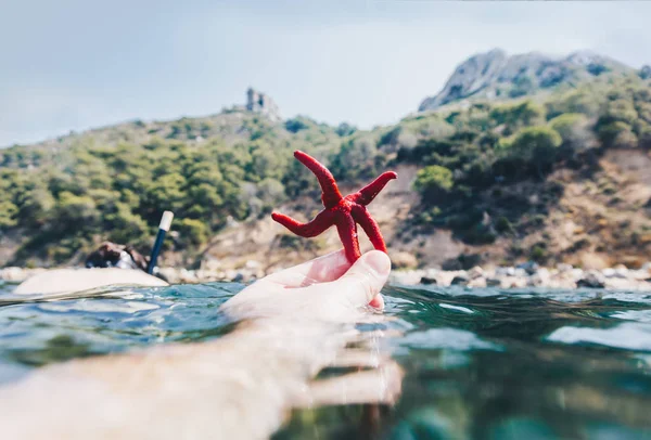 Hombre Sosteniendo Una Estrella Mar Roja Mano Cerca Las Aguas — Foto de Stock