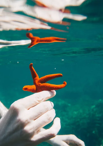 Vista Submarina Las Estrellas Mar Mano Hermoso Océano Cerdeña Italia — Foto de Stock