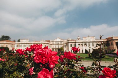 Varese Ekim 2018 İtalya - çiçekler Estense Palace veya Palazzo Estense karşı
