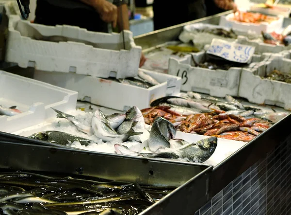 新鮮な魚海の食品市場で氷を — ストック写真