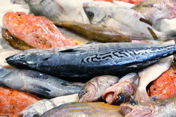 新鮮な魚新鮮な市場で氷を新鮮な海の食べ物 — ストック写真