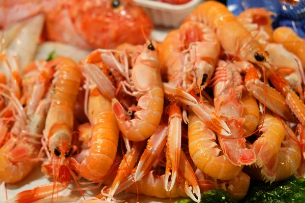 Shellfish Prawn Ice Fish Market Fresh Sea Food — Stock Photo, Image