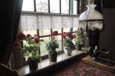 Yel değirmeni ev - Güney Hollanda - 19 anıtsal yel değirmenleri grubu - Molens doğal iç.