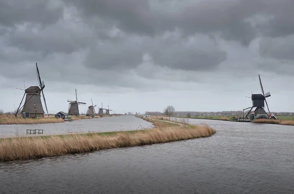Bir bulutlu ve rüzgarlı gün - Güney Hollanda - 19 anıtsal yel değirmenleri grubu - doğal Molens'daki yel değirmenleri.