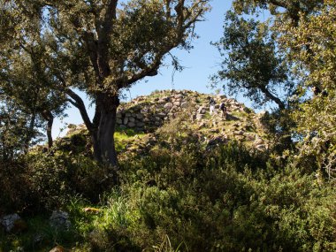 Noddule arkeolojik sitesinde megalitik daire ve büyük dairesel kulübe-Sardinya, Italya.