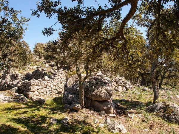 archaeological site of Noddule in the megalithic circle and large circular hut in the new archaeological site in Sardinia , ITALY