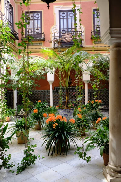 Abril 2019 - Pátio do bairro de Sevilha com colunas, plantas de jardim em casa histórica da Andaluzia - Espanha . — Fotografia de Stock