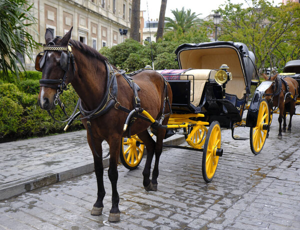 horses at the Cathedral of Saint Mary of the See (Seville Cathedral) in Seville, Andalusia, Spain in a sunny and cloudy day.