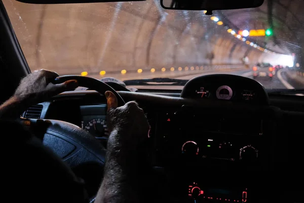 Εσωτερικό αυτοκίνητο άποψη ενός ηλικιωμένου 60 ετών 70 οδήγησης κατά μήκος της σήραγγας της πόλης με φώτα. — Φωτογραφία Αρχείου
