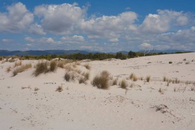 Mavi gökyüzünün altında kuru çimenler ve doğal çöl manzarasında bulutlar olan manzaralı kumullar.