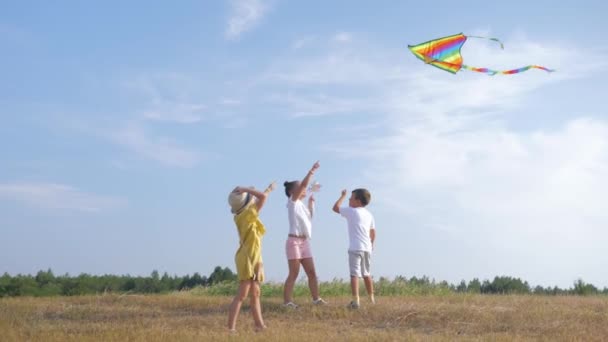活跃的游戏，快乐的小朋友喜欢在森林草地上玩风筝，同时在家庭周末放松自然，关系孩子 — 图库视频影像