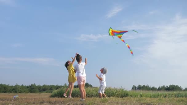 Childrens games, little friends having fun in summer time playing with kite in nature during summer vacation in forest against blue sky — Stock Video