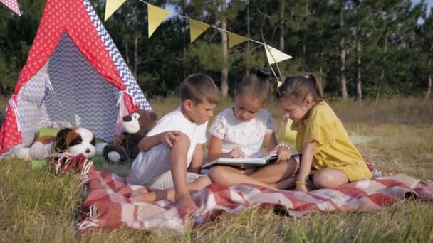 Crianças amigáveis, crianças sorridentes de mãos dadas no prado com pipa durante o fim de semana na floresta em férias de verão fundo de árvores e céu, conceito de amizade — Vídeo de Stock