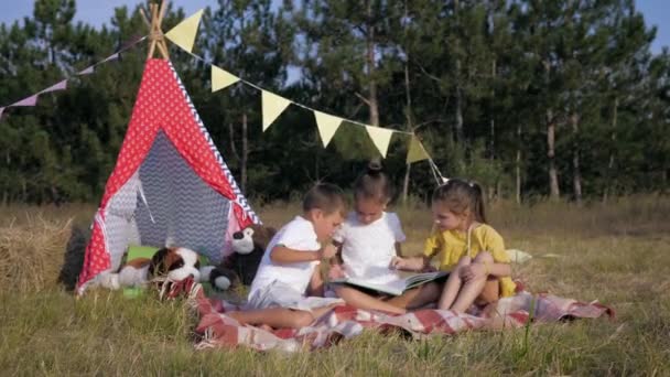 Enfants heureux, charmants enfants applaudissant joyeusement leurs mains et buvant du lait sur le pique-nique pendant le week-end d'été à la campagne — Video