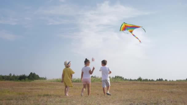 Crianças alegres, crianças contentes andando com pipa no prado durante as férias de verão no fundo do céu azul, conceito de liberdade — Vídeo de Stock