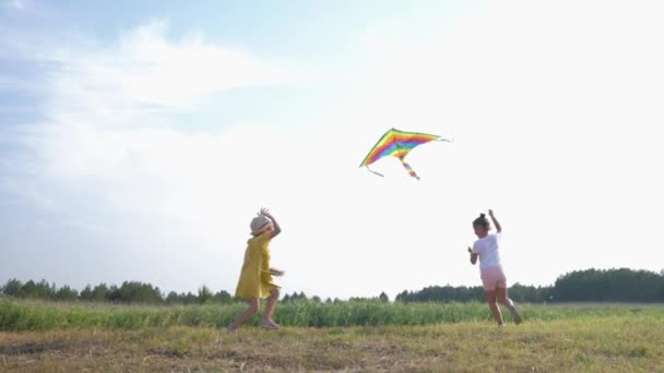 Outdoor play, beautiful little girls actively spend time outdoors playing with kite in forest glade during country vacation against blue sky — Stock Video