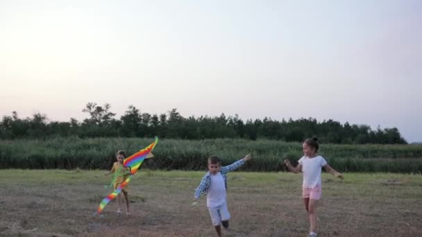 Amigos juegan, los niños pequeños en el claro del bosque corren con cometa mientras se relaja en la naturaleza contra el cielo y las cañas — Vídeos de Stock