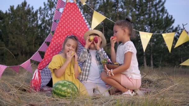Happy Picnic, vrolijke kinderen tijdens de lunch in een clearing in het bos Speel met fruit en bouw grappige gezichten op vakantie in het platteland tegen de achtergrond van bomen en een Wigwam — Stockvideo