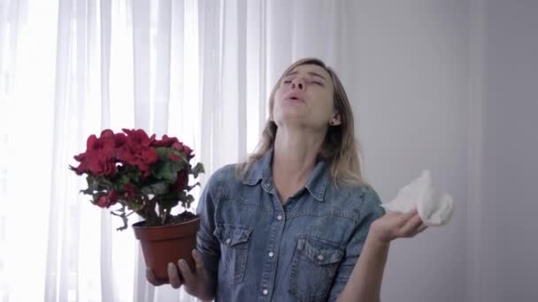 Allergie au pollen, femelle malade avec fleur dans les mains souffre de maladies respiratoires éternue constamment et essuie le visage avec un mouchoir — Video