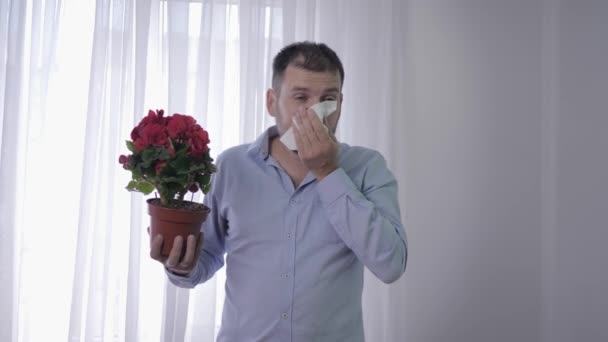 Alergie na dýchání, muž s květinou v rukou trpí citlivostí na pyl rostlin neustále kýchání a jeho tvář kapesníkem — Stock video
