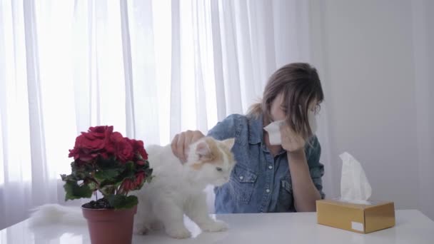 对动物过敏，一个成年女孩在房间的宠物头发上遭受呼吸道疾病的折磨和打喷嚏 — 图库视频影像