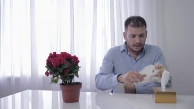 alerji belirtileri, genç adam kedisi ile oynar ve evcil hayvan kürk hapşırma muzdarip