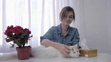 alerji kürk, yetişkin kız kedi hapşırık ve mendil ile mendil ile siler ile oynar çünkü odada evcil hayvan kabarık