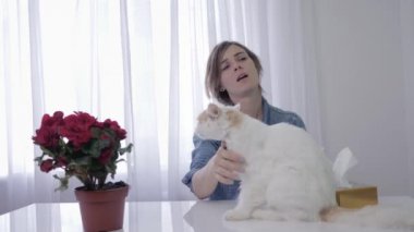 solunum hastalığı, genç kadın hapşırık lar bir alerji den odada evcil hayvan saç, achoo